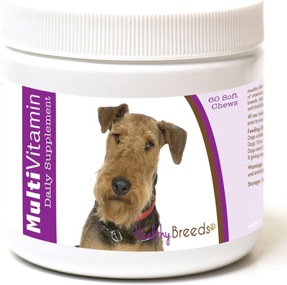 Healthy Breeds Airedale Terrier Multivitamínico en Comprimidos Blandos (60 uds) – Image 1