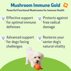 Pet Wellbeing Mushroom Immune Gold para Perros - Apoyo Inmunológico Complementario con Hongos Funcionales Reishi, Maitake y Cola de Pavo - Certificado NASC y Formulado por Veterinarios - 236 ml Fórmula Líquida
