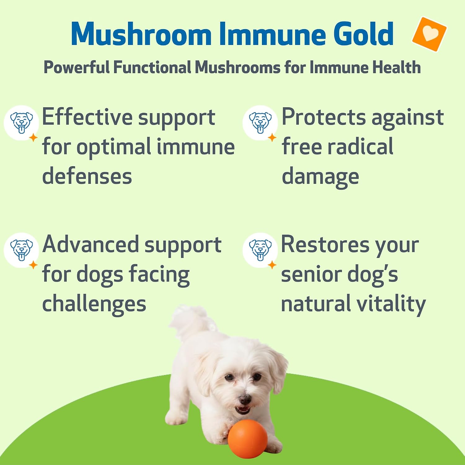Pet Wellbeing Mushroom Immune Gold para Perros - Apoyo Inmunológico Complementario con Hongos Funcionales Reishi, Maitake y Cola de Pavo - Certificado NASC y Formulado por Veterinarios - 236 ml Fórmula Líquida