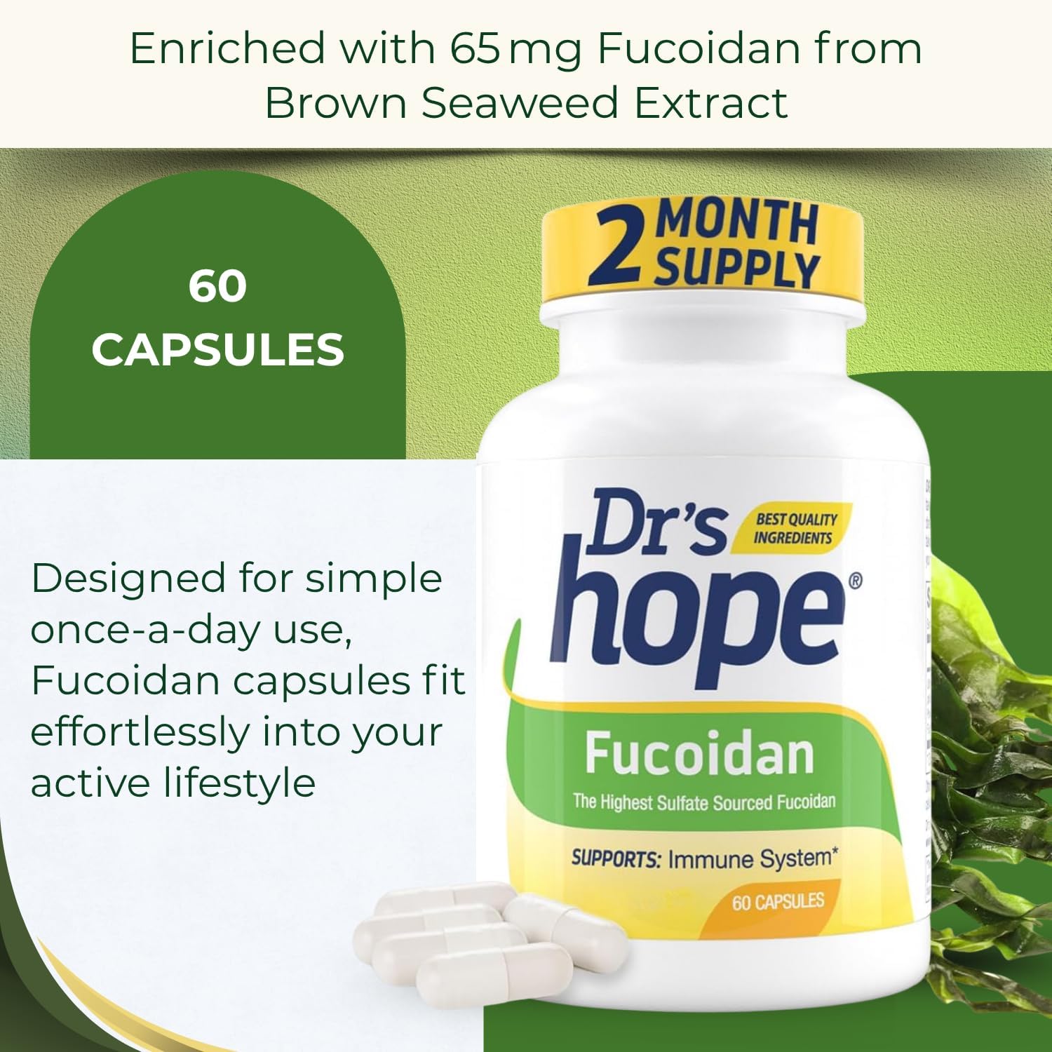 Fucoidán 65mg con Extracto de Alga Parda – 60 Cápsulas