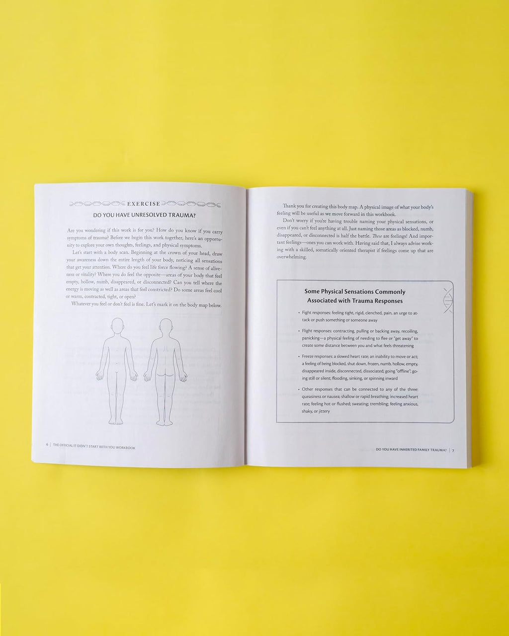 The Official It Didn't Start with You Workbook: The Companion to the Worldwide Bestseller