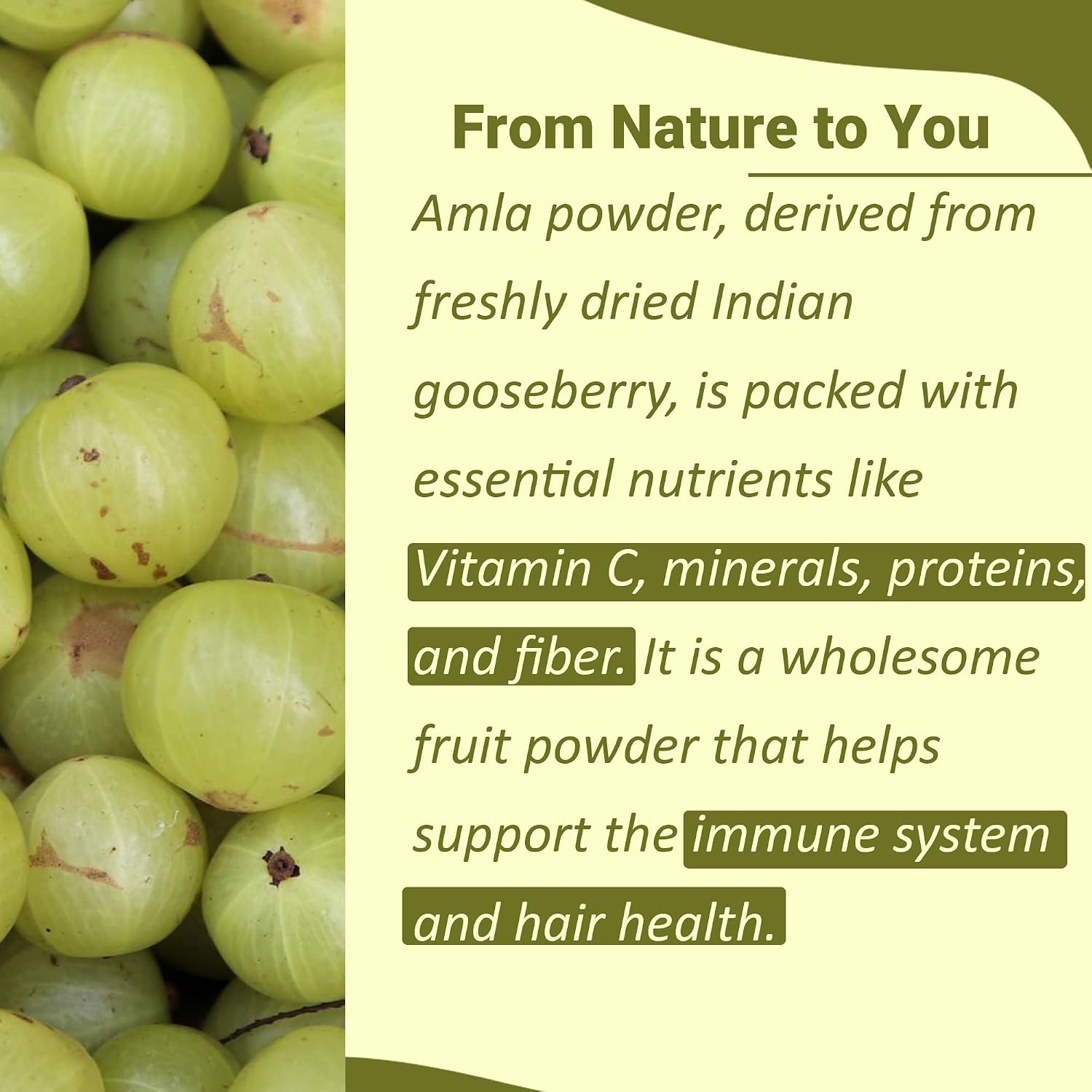 Mi Nature Amla Powder - Polvo de Amla (Grosella India) 454 g - Vitamina C - No OGM - Vegano - Sin Gluten - Hecho en India
