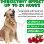 Suplemento Urinario para Perros con Arándano Rojo - 60 ml