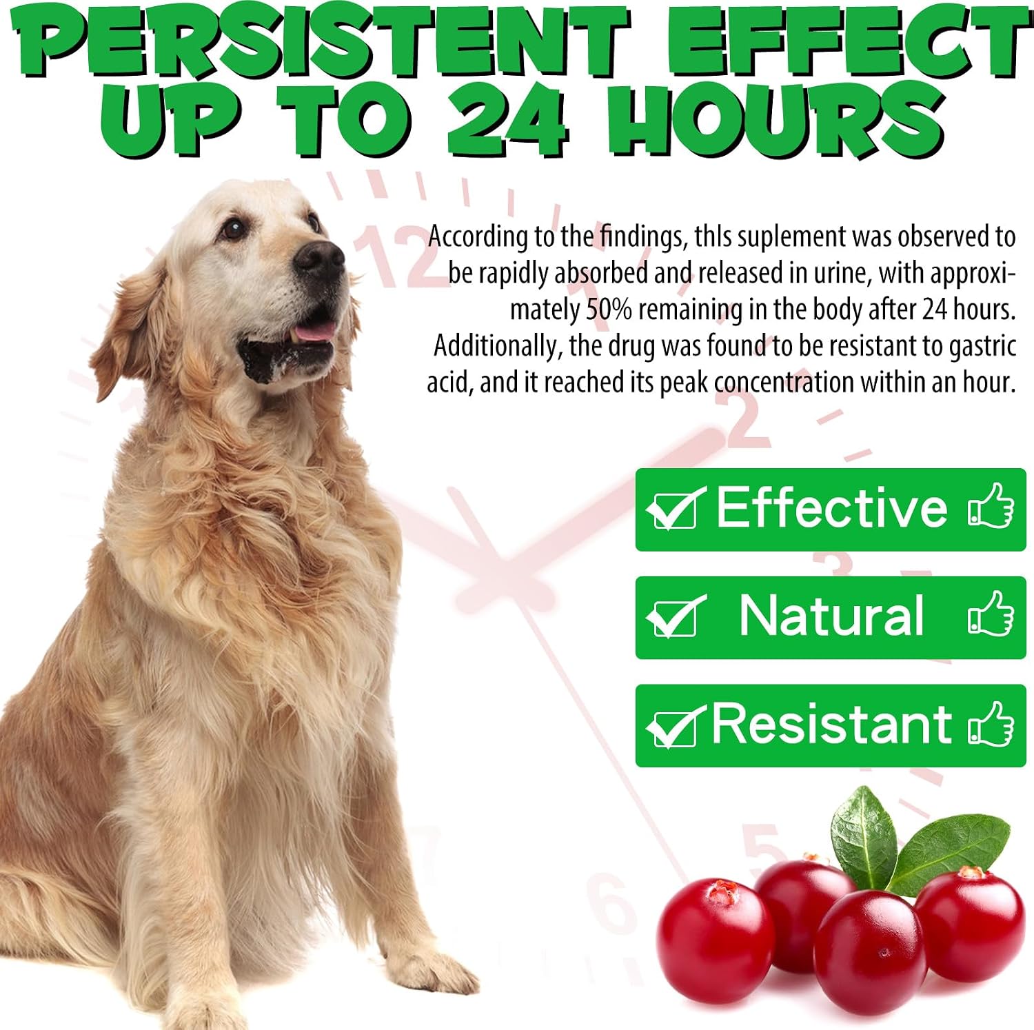 Suplemento Urinario para Perros con Arándano Rojo - 60 ml