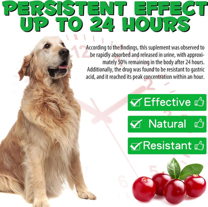 Suplemento Urinario para Perros con Arándano – Perros de 10-20 lb (4.5-9 kg): 1/2 gotero (0.5 ml) – Image 7