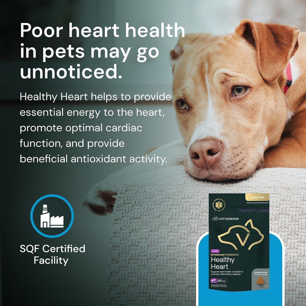VETRISCIENCE Veterinary Strength Healthy Heart Chews, Suplemento cardíaco para perros y gatos, sabor a pollo, 60 unidades