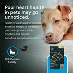 VETRISCIENCE Veterinary Strength Healthy Heart Chews, Suplemento cardíaco para perros y gatos, sabor a pollo, 60 unidades