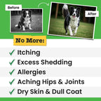 Omega 3 Fish Oil for Dogs & Cats - Aceite de Pescado con Aceite de Salmón Salvaje de Alaska - Suplemento Líquido con Omega 3 EPA+DHA