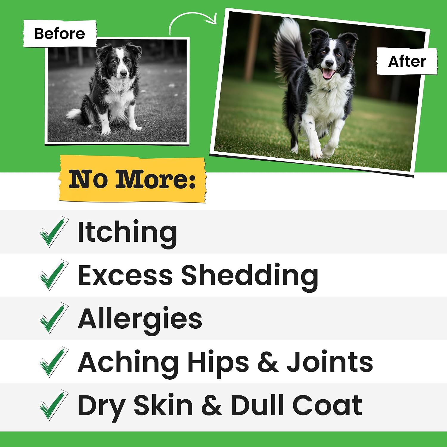 Omega 3 Fish Oil for Dogs & Cats - Aceite de Pescado con Aceite de Salmón Salvaje de Alaska - Suplemento Líquido con Omega 3 EPA+DHA