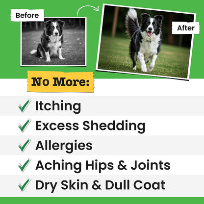 Omega 3 Fish Oil for Dogs & Cats - Aceite de – Articulaciones: En perros y gatos mayores, el omega 3 puede ayudar – Image 2