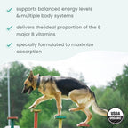 Bark & Whiskers Complejo de Vitamina B Orgánico - Apoyo Energético y Nervioso para Perros y Gatos - 0.85 oz (24 g)