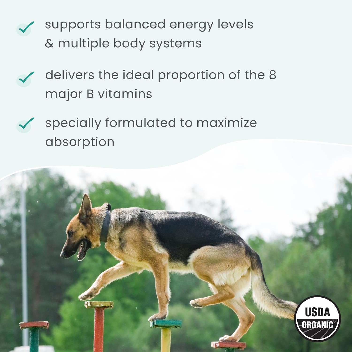 Bark & Whiskers Complejo de Vitamina B Orgánico - Apoyo Energético y Nervioso para Perros y Gatos - 0.85 oz (24 g)