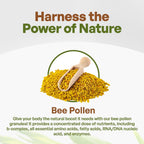Go Nutra Gránulos de Polen de Abeja Puro - Superalimento Natural (454 g)