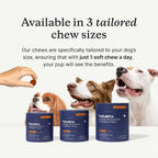 PetLab Co. Probióticos Diarios para Perros - Alergias e Inmunidad, 30 Masticables para Perros Pequeños