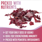 XPRS Nutra Polvo de Dulse (Palmaria Palmata) – Alga Atlántica Silvestre de Nueva Escocia – Vegano (227 g)