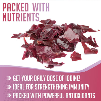XPRS Nutra Dulse en Polvo (Palmaria palmata) – Magnesio: contribuye al metabolismo energético normal. – Image 3
