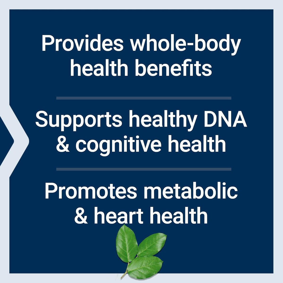 Life Extension Mix™ Comprimidos con Niacina – Niacina (vitamina B3): Contribuye al metabolismo energético normal y – Image 4