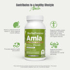 Herbsforever Amla (Grosella India) – 60 Cápsulas Veganas de 950mg