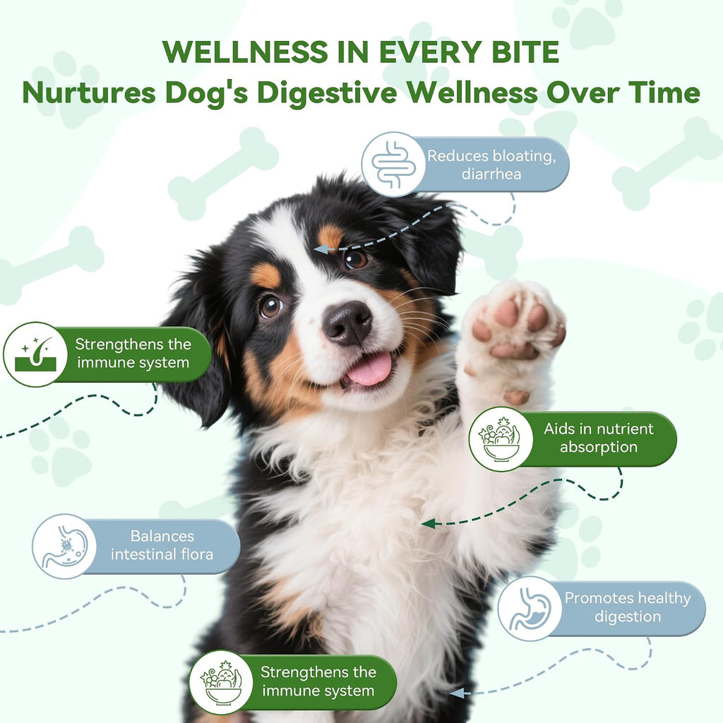 Woooha Probióticos para Perros con 6 Mil Millones UFC, Prebióticos y Enzimas Digestivas - 100 Masticables