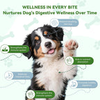 Woooha Probióticos para Perros con 6 Mil Millones UFC, Prebióticos y Enzimas Digestivas - 100 Masticables