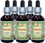 Extracto de Hoodia Gordonii sin Alcohol - Glicerito HerbalTerra (120 ml)