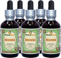 Hoodia (Hoodia Gordonii) Glicerita, Extracto Líquido Sin Alcohol - 5x60 ml