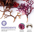 Cápsulas de Musgo Marino Púrpura y Bladderwrack | 2202mg Perfil Nutricional Completo - Mezcla de Algas Silvestres para el Bienestar Diario – 60 Cápsulas