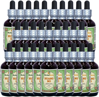 Huang Bo (Phellodendron chinense) Glicerita sin Alcohol - HerbalTerra (30 x 60 ml) – Image 1