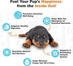 Doggie Dailies Probiótico para Cachorros, Probióticos con Enzimas Digestivas, Apoya la Salud Digestiva e Inmunológica, Sabor Calabaza, 120 Masticables Blandos