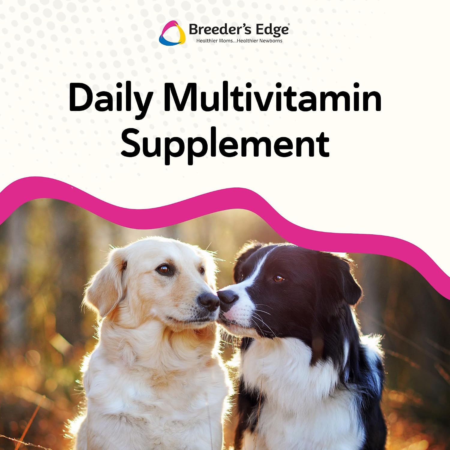 Breeder's Edge in Between for Her - Multivitamínico diario para perros y gatos criadores (90 comprimidos, razas medianas y grandes)