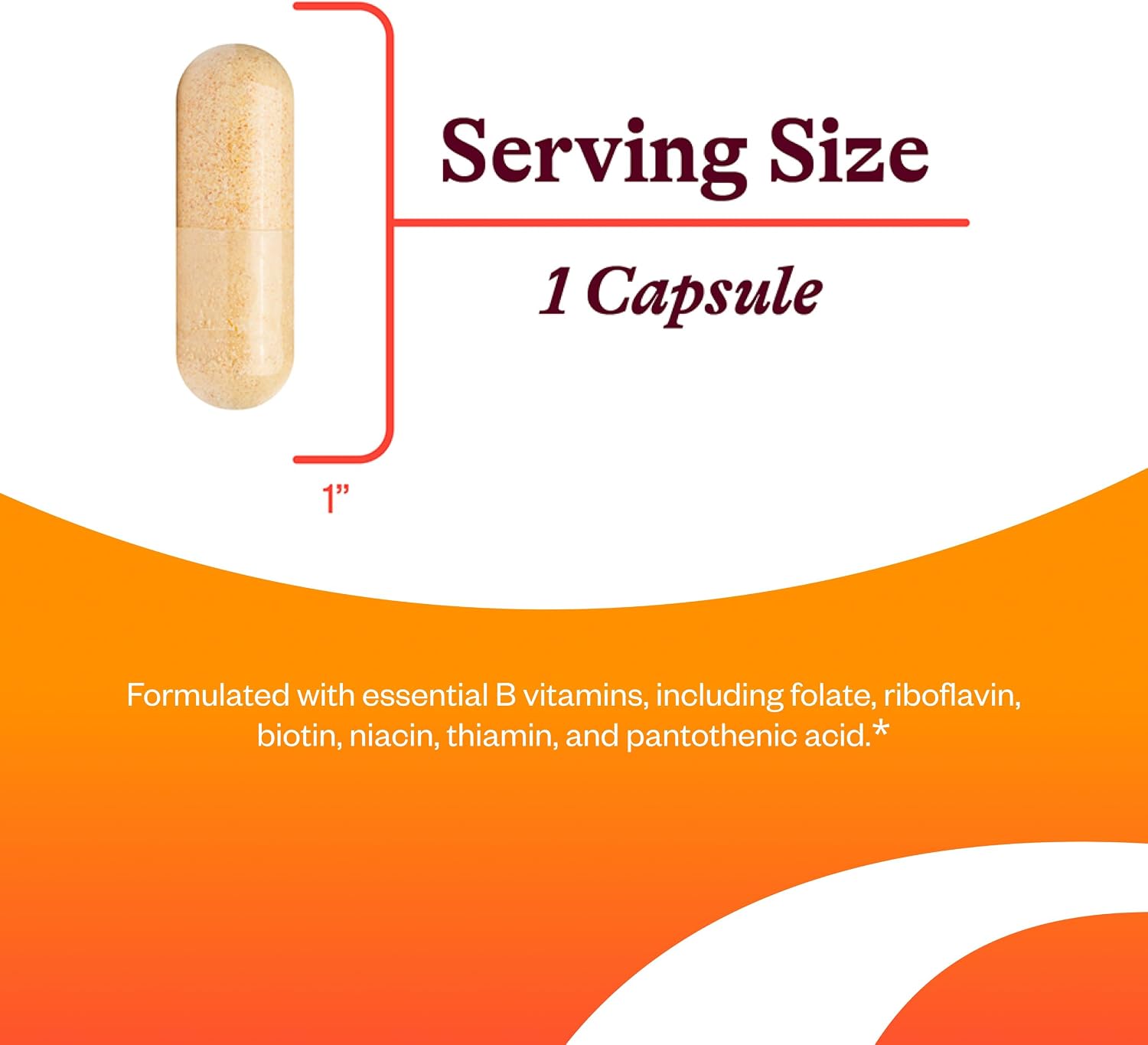 Seeking Health B Complex Plus - Complejo de Vitaminas B con Colina y Riboflavina - 100 Cápsulas