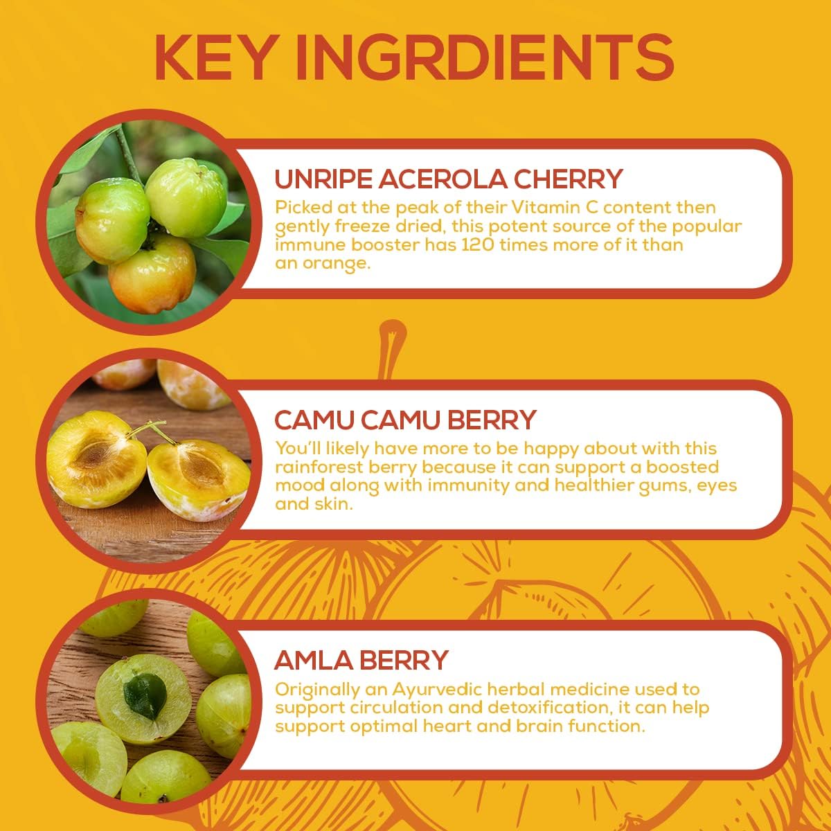 Paleovalley Essential C Complex - Vitamina C 450mg con Acerola, Camu Camu y Amla - Sin Sintéticos