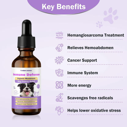 Pet Critical Guard - Suplemento Herbal para – Turmeric (cúrcuma): Especia con propiedades antioxidantes y – Image 2