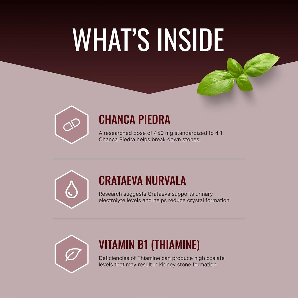 Approved Science Stonexyl - Apoyo Herbal para la Salud Renal - 360 Cápsulas - Chanca Piedra - Alta Absorción - Vegano