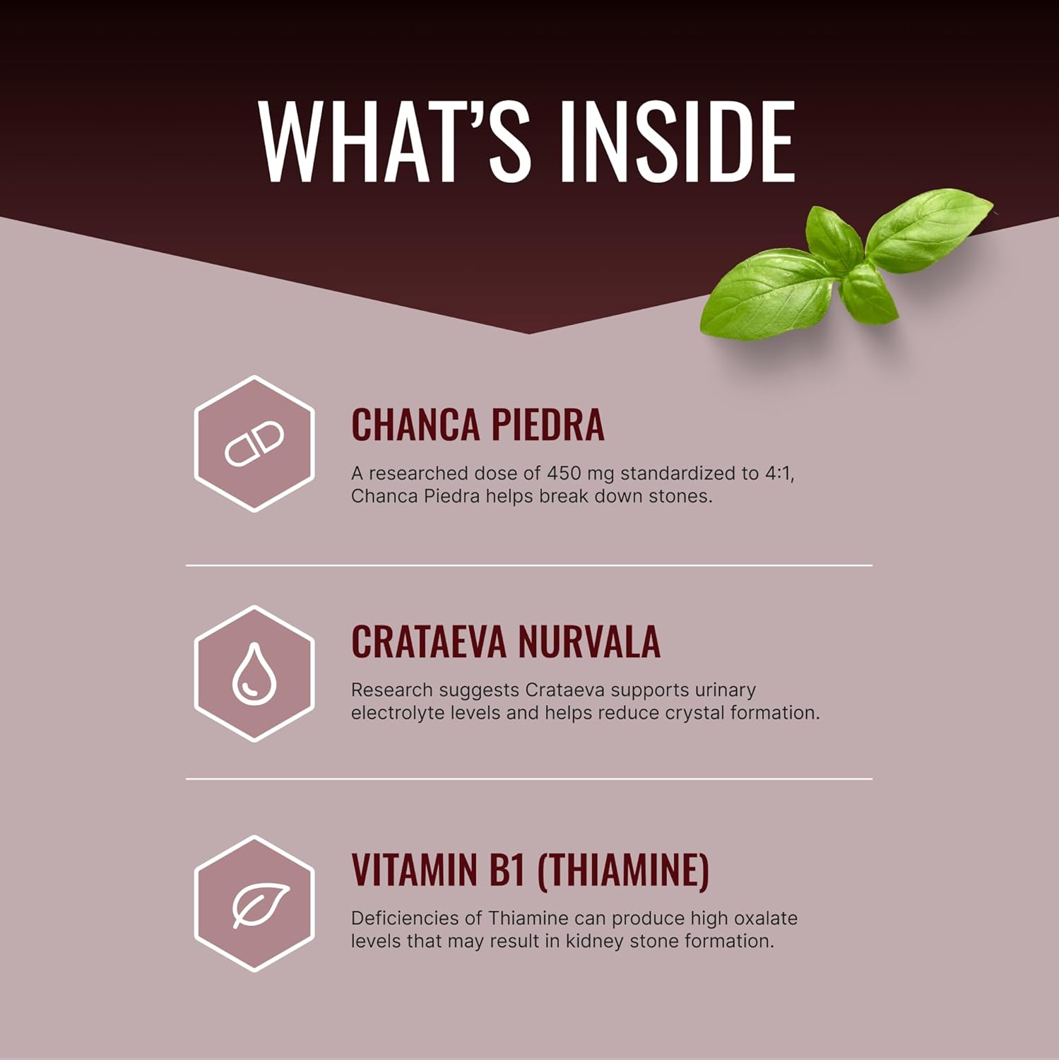 Approved Science Stonexyl - Apoyo Herbal para la Salud Renal - 180 Cápsulas - Chanca Piedra - Alta Absorción - Vegano
