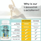 Lactoferrina Liposomal 1000 mg - 60 Cápsulas Blandas