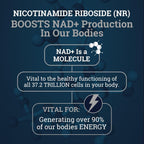 Black Forest NAD – Nicotinamida Ribósido 900 mg + Quercetina 500 mg + Resveratrol 150 mg