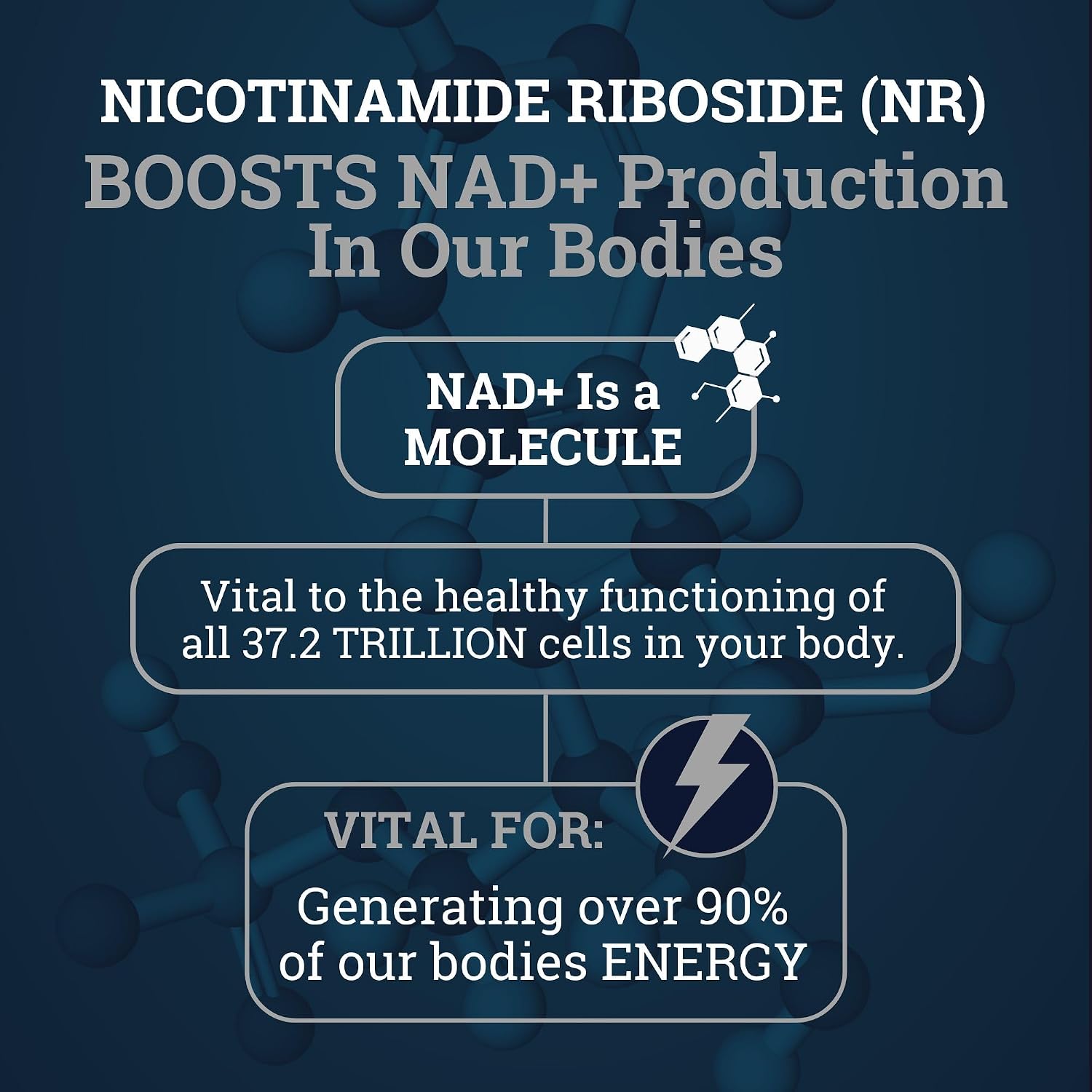 Black Forest NAD – Nicotinamida Ribósido 900 mg + Quercetina 500 mg + Resveratrol 150 mg
