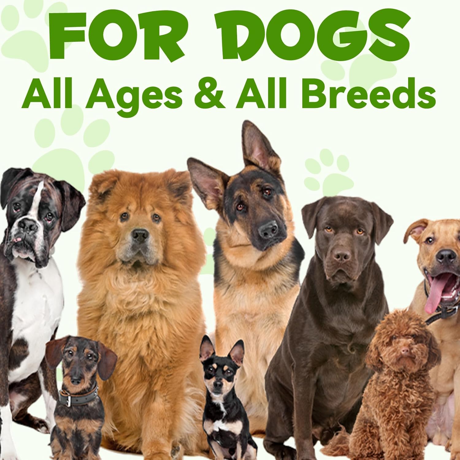 Probióticos para Perros 3 en 1 - Líquido (59 ml)