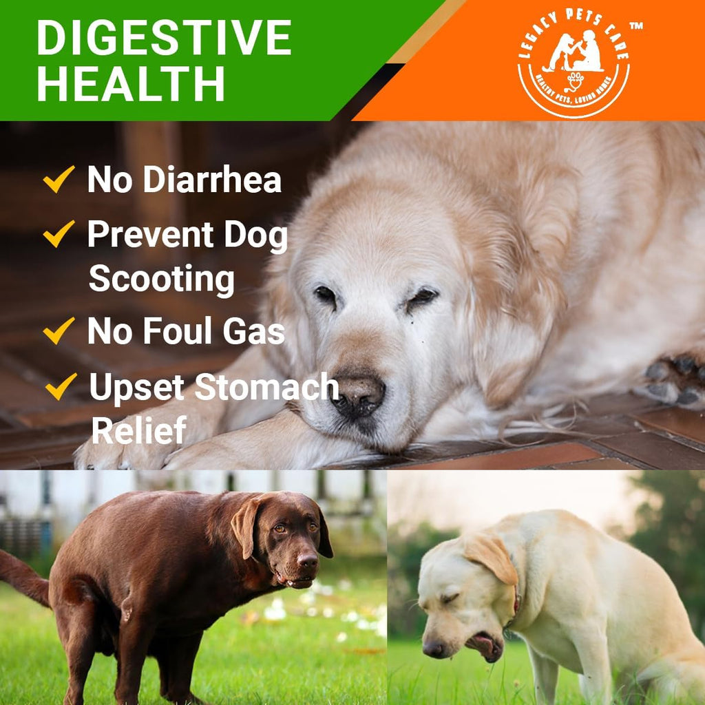 Probióticos para Perros Masticables Blandos, 120 Unidades – Apoyo Digestivo e Inmunitario