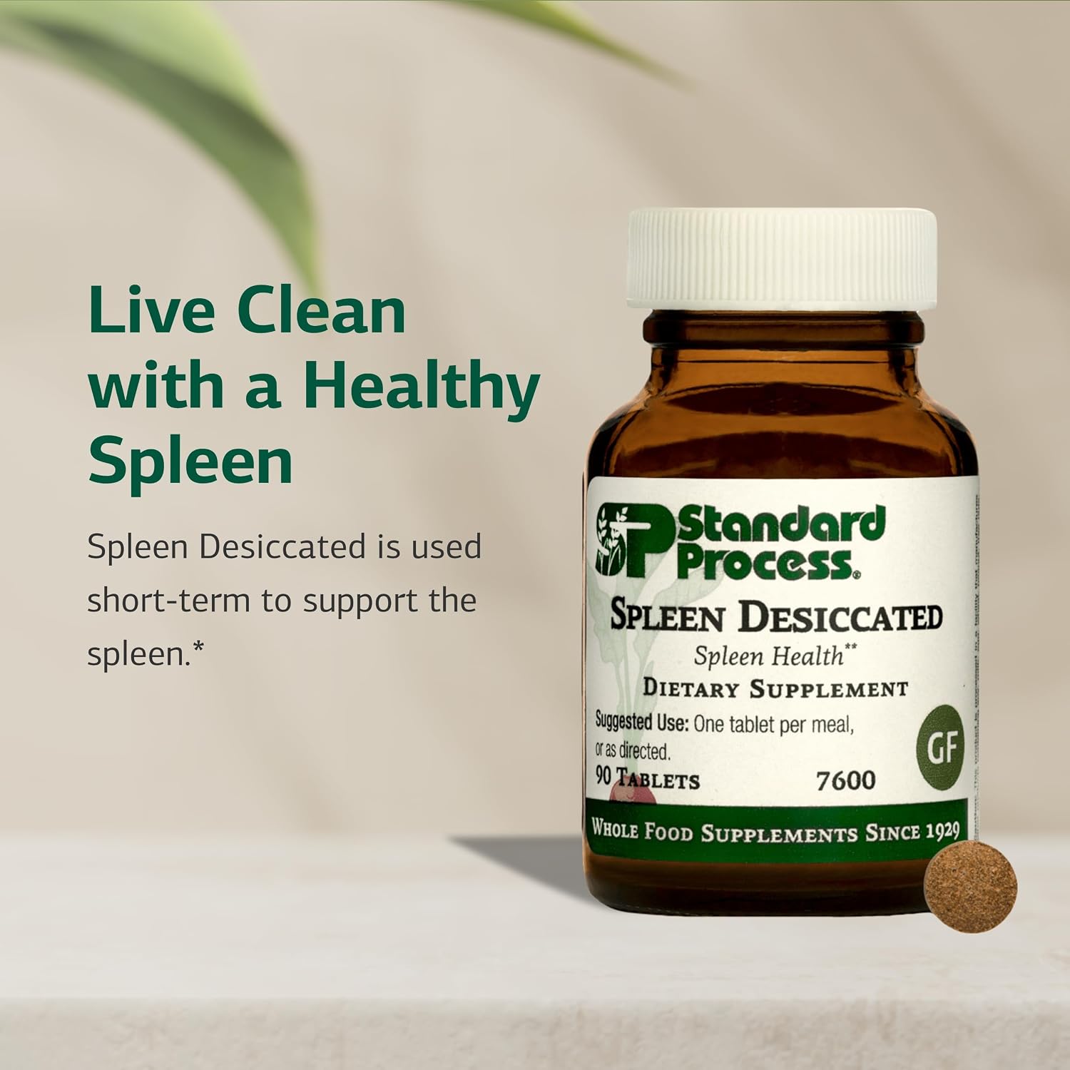 Spleen Desiccado de Standard Process - Complemento Alimenticio a Base de Bazo - 90 Comprimidos