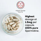 MASI Spermidine Supplement – 1.5mg, 60 Cápsulas, 1 Botella | Fabricado en Alemania, Testado en Suiza | Renovación Celular para Longevidad, Metabolismo, Inmunidad, Salud Cerebral y Cutánea | Vegano, No GMO
