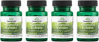 Swanson Corteza de Magnolia 200 mg - 30 Cápsulas Vegetales (3 Paquetes)