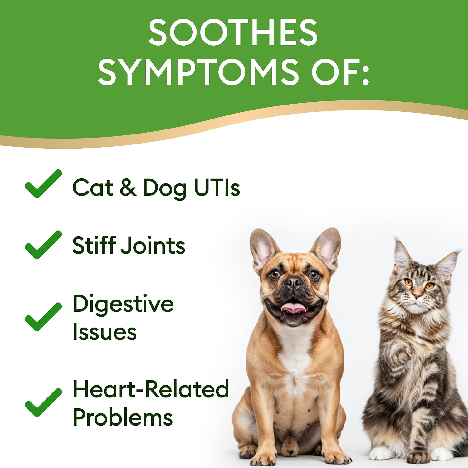TwoFurFinds Multivitamínico Líquido 15-en-1 para Perros y Gatos - 59 ml