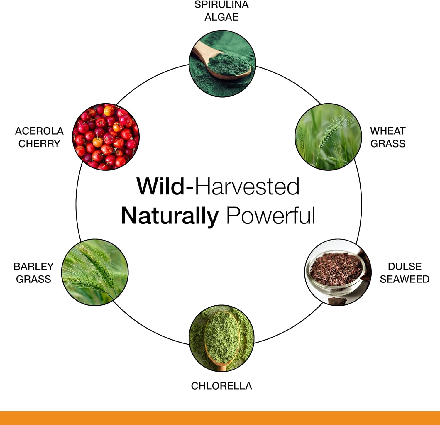 Dr. Schulze's SuperFood 100 - Suplemento Multivitamínico de Superalimentos para el Bienestar General - 270 Comprimidos