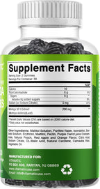 Vitamatic 2 Packs Moringa Gummies – Sugar-Free Botanical Extract – Green Superfood Supplement – Vegan, Pectin-Based, Non-GMO – Plant-Based Gummies – 60 Count