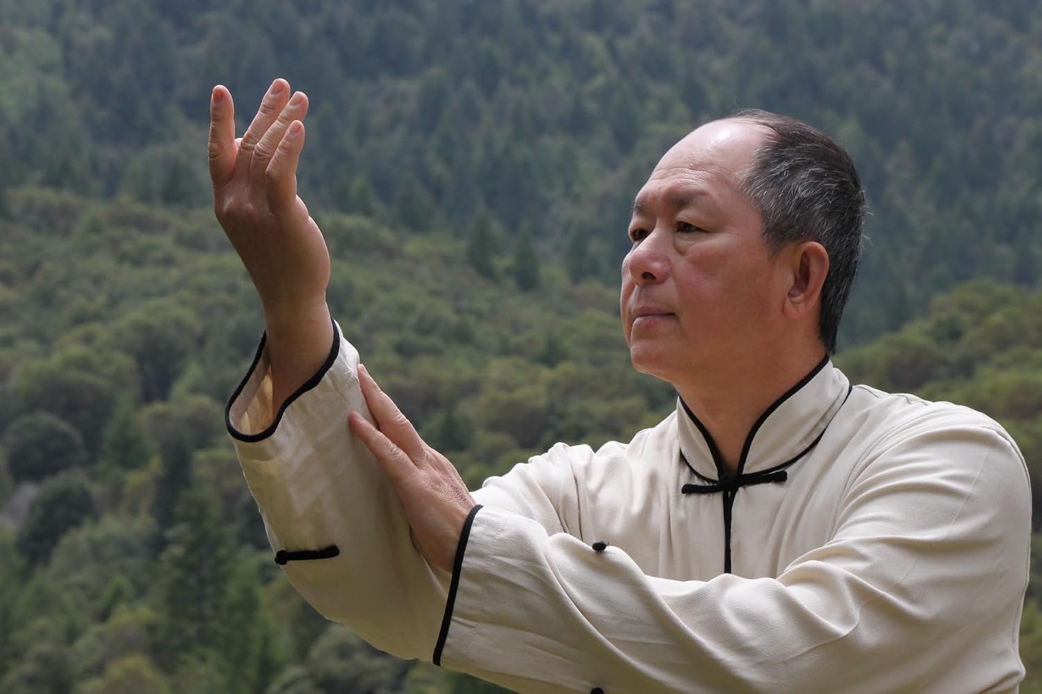 Bundle: Qigong Massage - Libro y DVD (YMAA) - Chi Kung Massage by Dr. Yang, Jwing-Ming