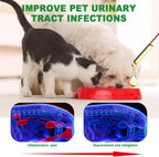 Nupec Gotas Naturales para Infección Urinaria en Perros y Gatos - Suplemento de Arándano para el Tracto Urinario, Salud Renal y Vesical