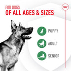 Royal Canin Probióticos para Perros, Salud Digestiva e Inmunitaria, Suplemento en Polvo para Perros de Todas las Edades, 7 Sobres