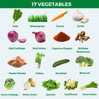 Medical Miracles Suplemento de Frutas y Verduras - 90 Cápsulas de Verduras y 90 de Frutas (180 Total) - Superalimentos Integrales